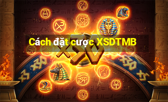 Cách đặt cược XSDTMB