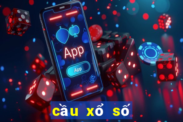 cầu xổ số bình định