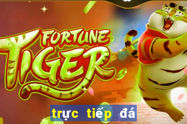 trực tiếp đá gà c 3