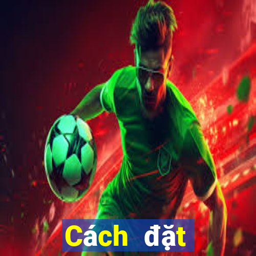 Cách đặt cược XSHP ngày 7