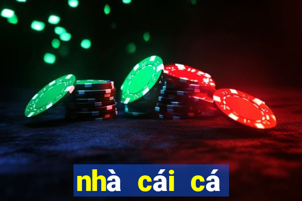 nhà cái cá độ bóng đá