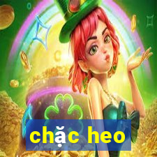 chặc heo