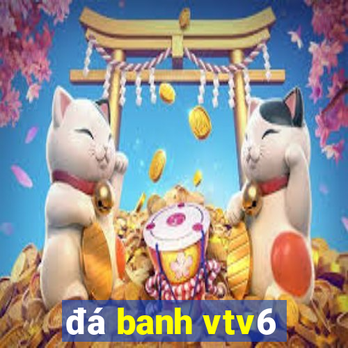 đá banh vtv6