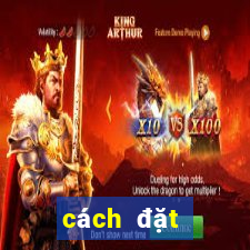 cách đặt cược xóc đĩa kubet