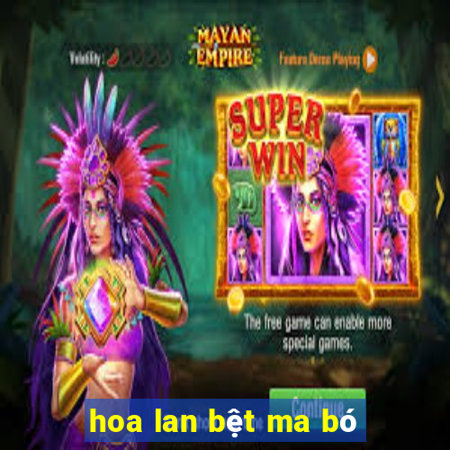 hoa lan bệt ma bó