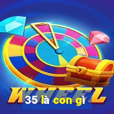 35 là con gì