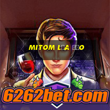 Mitom Lừa Đảo