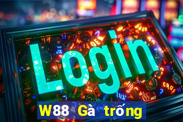 W88 Gà trống lớn xếp ngũ táo