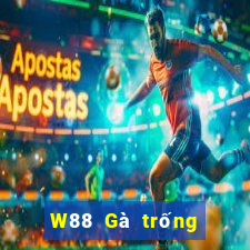 W88 Gà trống lớn xếp ngũ táo