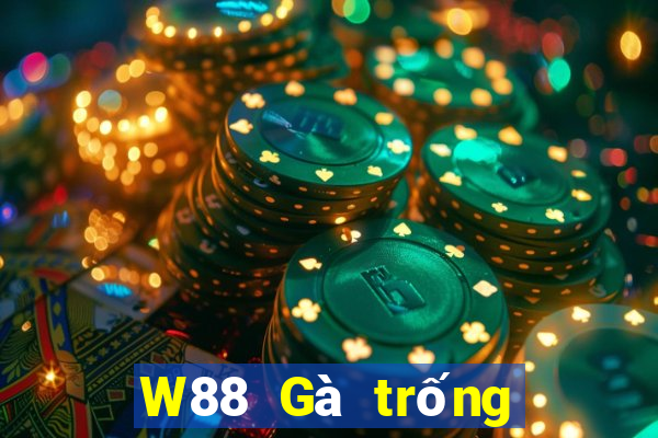 W88 Gà trống lớn xếp ngũ táo