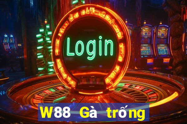 W88 Gà trống lớn xếp ngũ táo