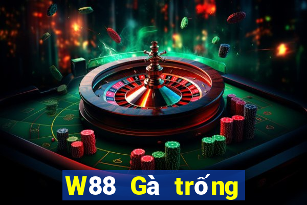 W88 Gà trống lớn xếp ngũ táo