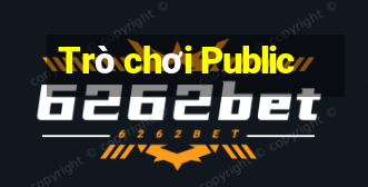 Trò chơi Public