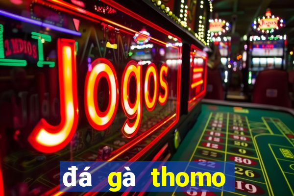 đá gà thomo ngày 31 tháng 7