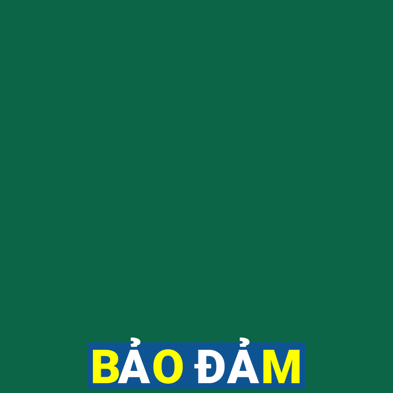 BẢO ĐẢM