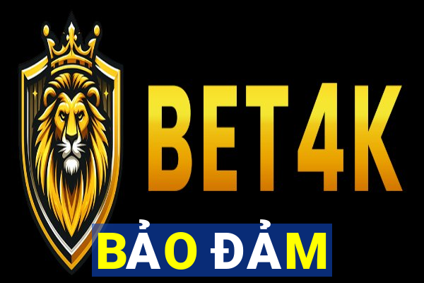 BẢO ĐẢM