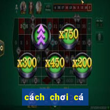 cách chơi cá cược bóng đá