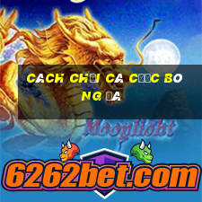 cách chơi cá cược bóng đá