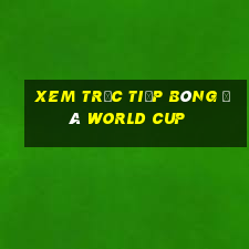 xem trực tiếp bóng đá world cup