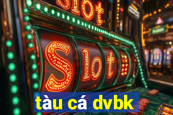 tàu cá dvbk