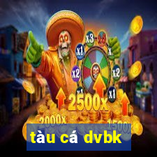 tàu cá dvbk