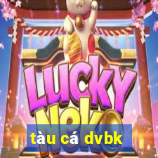 tàu cá dvbk