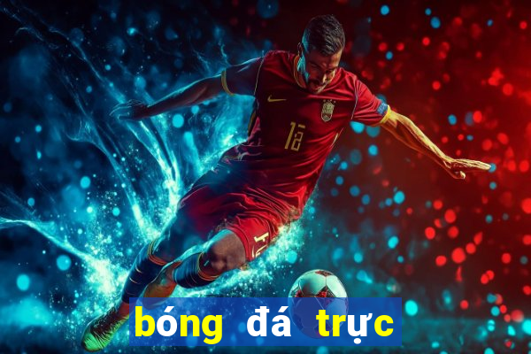 bóng đá trực tuyến vov