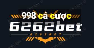 998 cá cược