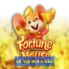 số vip miền bắc