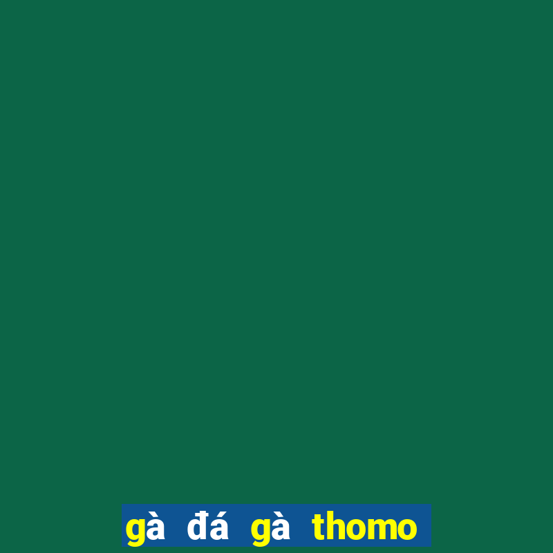 gà đá gà thomo trực tiếp