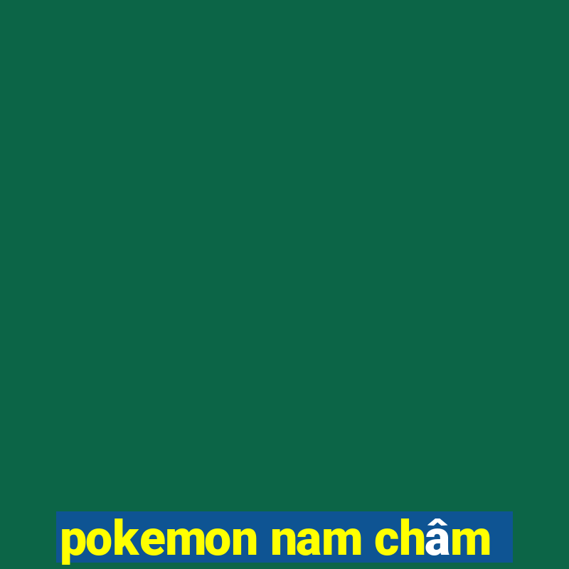 pokemon nam châm