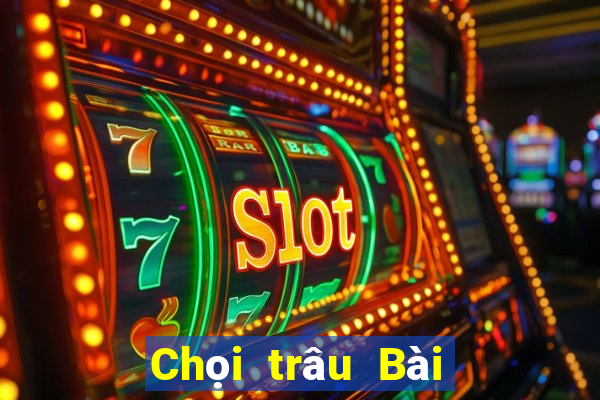 Chọi trâu Bài Liêng ba công