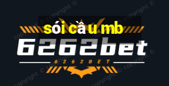 sói cầu mb