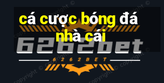 cá cược bóng đá nhà cái