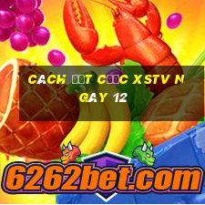 Cách đặt cược XSTV ngày 12