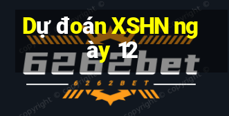 Dự đoán XSHN ngày 12