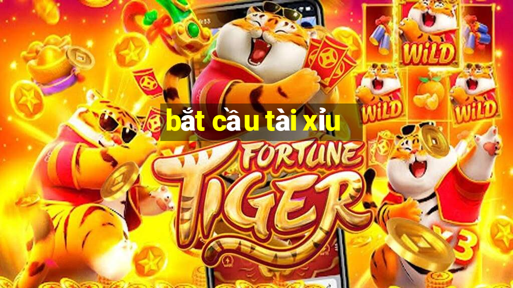 bắt cầu tài xỉu