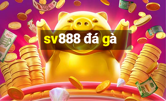 sv888 đá gà