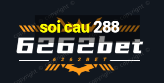 soi cau 288