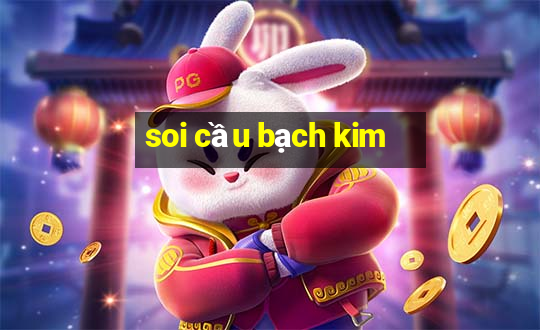 soi cầu bạch kim