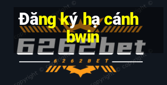 Đăng ký hạ cánh bwin