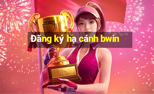 Đăng ký hạ cánh bwin