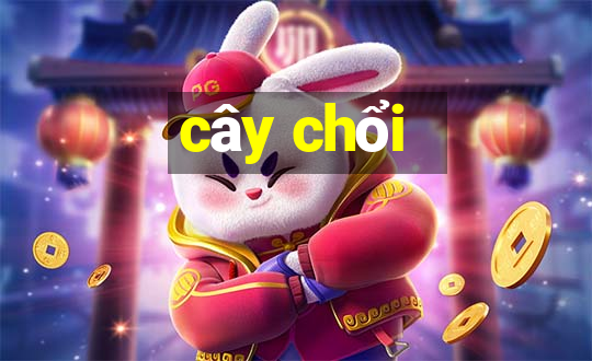 cây chổi