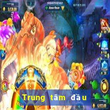 Trung tâm đầu tư mạng điện tử