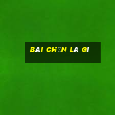 bài chắn là gì