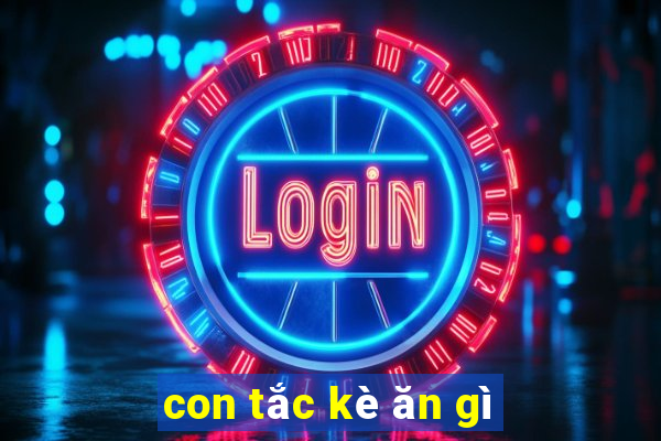 con tắc kè ăn gì