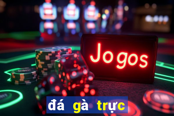 đá gà trực tiếp casino online