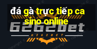 đá gà trực tiếp casino online