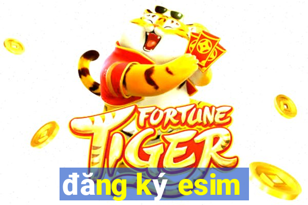 đăng ký esim