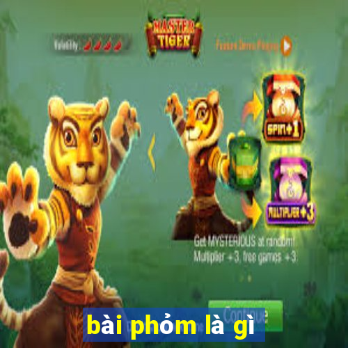 bài phỏm là gì